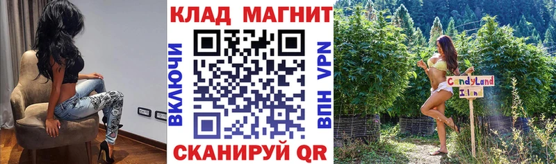 Купить наркотики сайты Гаврилов-Ям Галлюциногенные грибы  ГАШИШ  КОКАИН  Alpha PVP 