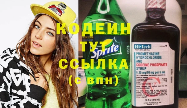амф Верхний Тагил