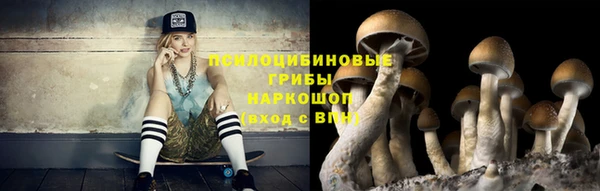 мдпв Володарск