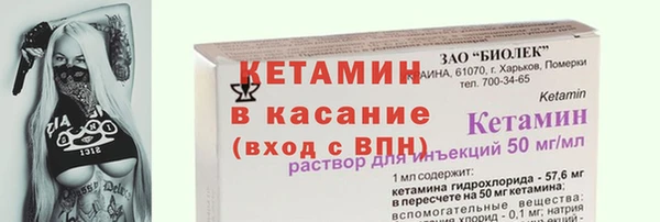 амф Верхний Тагил