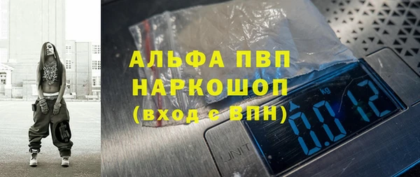 амф Верхний Тагил