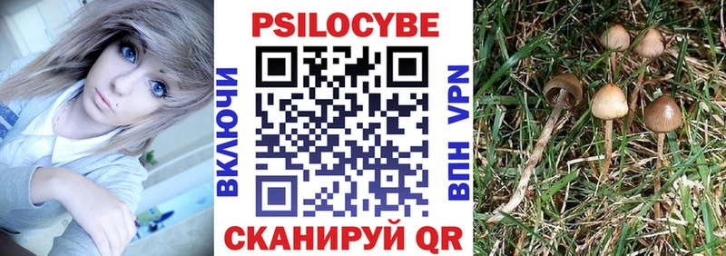 наркотики  Гаврилов-Ям  Галлюциногенные грибы мухоморы 